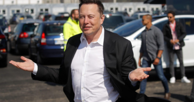 Tesla just reported its first annual sales decline in at least nine years