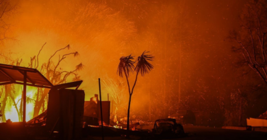 Hornets-Lakers postponed due to L.A. wildfires