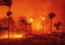 Mysterious 'drones' spotted flying over California wildfires as blazes cause chaos – Daily Record