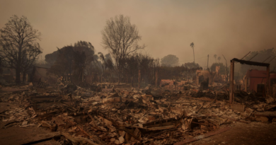 Los Angeles residents determined to rebuild after devastating wildfires: ‘I’m not ready to give up’