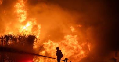 Before and after satellite photos show LA-area neighborhoods in ruins as wildfires rage