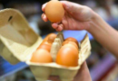 You've been storing your eggs wrong as expert settles debate on correct way – The Mirror