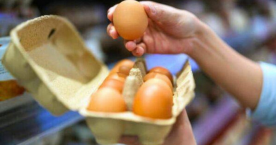 You've been storing your eggs wrong as expert settles debate on correct way – The Mirror