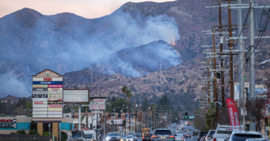 Fire agencies to probe possible Edison link to LA Hurst fire