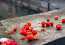 People stumped after all sorts of tomatoes left on bridge in bizarre trend – Metro.co.uk