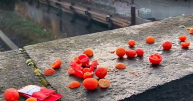 People stumped after all sorts of tomatoes left on bridge in bizarre trend – Metro.co.uk