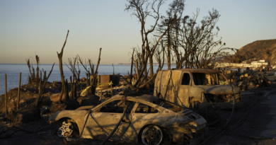 ‘Particularly Dangerous Situation’ forecast for Los Angeles wildfire zones as fierce winds predicted to return