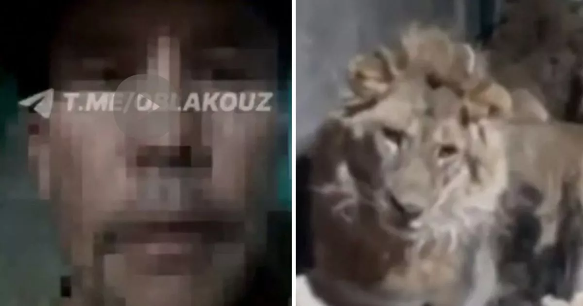 Zookeeper films horrific moment he's eaten alive by lions while trying to 'impress his girlfriend' – The Mirror US