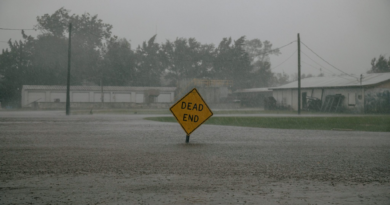 Climate disasters hit Black communities disproportionately hard. ‘Bluelining’ doesn’t help