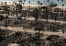 California’s insurer of last resort has potential exposure to LA wildfires of nearly $5 billion and reinsurance of $5.78 billion