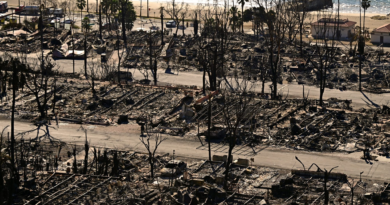 California’s insurer of last resort has potential exposure to LA wildfires of nearly $5 billion and reinsurance of $5.78 billion