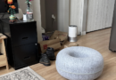 Only people with super vision can spot cat hiding in picture in less than five seconds – The Mirror