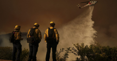 Trump is accusing California of sending too much water to the Pacific instead of to Los Angeles as he prepares to tour fire damage