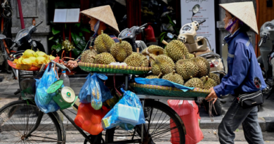 Chinese consumers can’t get enough of durian, a fruit so pungent it’s banned in Southeast Asian airports