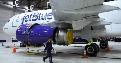 Dead bodies found in wheel well of JetBlue plane will sound the alarms for FBI and Homeland Security over national safety, aviation expert says