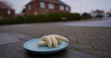 Plate of peeled bananas appears on same street every month – and no one knows why – Metro.co.uk