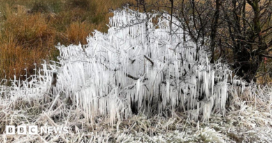 Strange icicle formation spotted in Derbyshire's Peak District – BBC