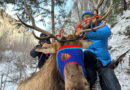 Elk on a shelf: Colorado wildlife officials rescue elk tangled in rope on ice climbing route – KSAT San Antonio