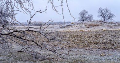 Experts say extreme winter conditions are exerting pressure on agriculture ‘in ways we haven’t seen for a very, very long time’