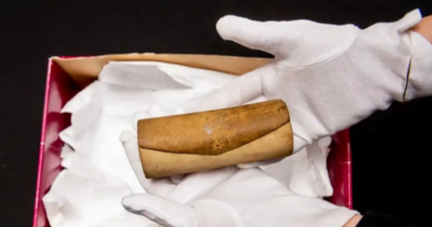 Long-lost 15th century prayer scroll found in shoebox is 'medieval work of art' – Daily Star